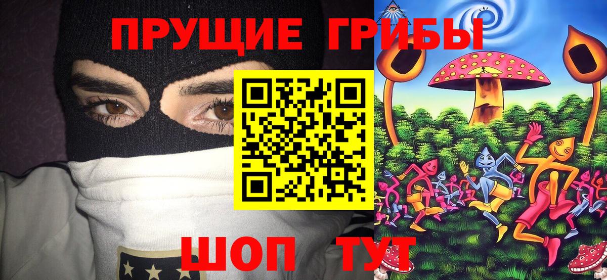 Псилоцибиновые грибы Magic Shrooms  Вход с VPN  Галлюциногенные грибы Psilocybe  Новозыбков 